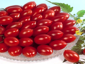 Desde hace unos años, estos tomates-cereza se han ido imponiendo paulatinamente en muchos...