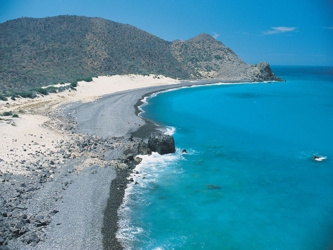 Octavio Aburto Oropeza, investigador del Instituto de Oceanografía Scripps de California,...