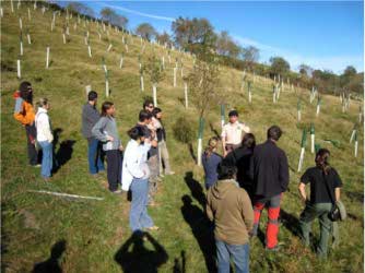 El titular de la Semarnat refirió que la sobrevivencia de la planta reforestada a escala...