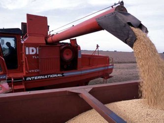 Los mercados de trigo también podrían sentir el impacto si Pekín toma el...