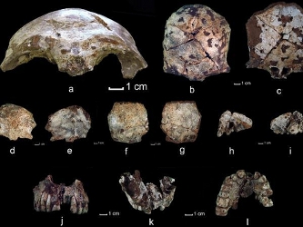 Restos humanos de aproximadamente la misma edad habían sido descubiertos en China y otros...