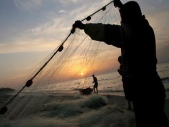 La pesca en México es simplemente una actividad en retroceso. La riqueza es...