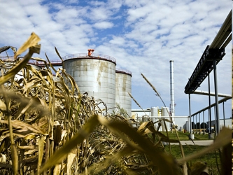 El etanol de azúcar y el de maíz, que es producido principalmente en EU, tienen una...