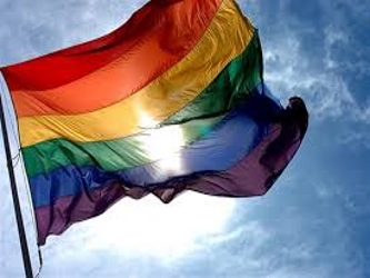 Otro ejemplo es Argentina, donde el activismo de la comunidad LGBT se inscribió en un...