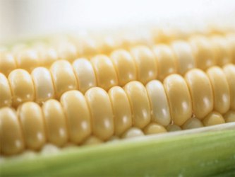 Para el caso del maíz en Estados Unidos y Canadá, Heinemann et al encuentran que la...