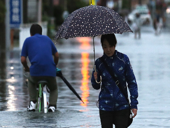 Algunas partes de Japón recibieron en 48 horas más del doble de la cantidad de lluvia...