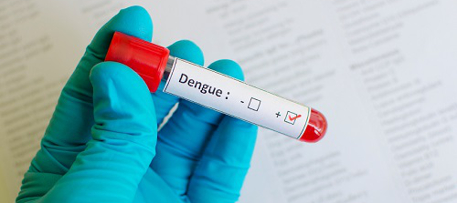 El dengue provoca la muerte de unas 20.000 personas por año, infecta a cientos de millones y...