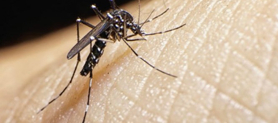 Las autoridades de Florida dijeron el jueves que encontraron el virus del zika en muestras de...
