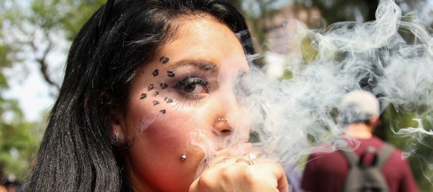 La marihuana es la droga ilegal más consumida en México. Más de siete millones...