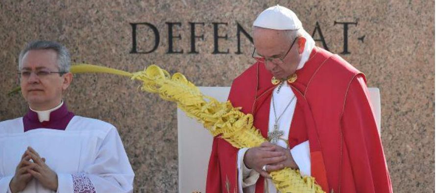 El papa Francisco celebró hoy la misa del Domingo de Ramos con la que da inicio la Semana...
