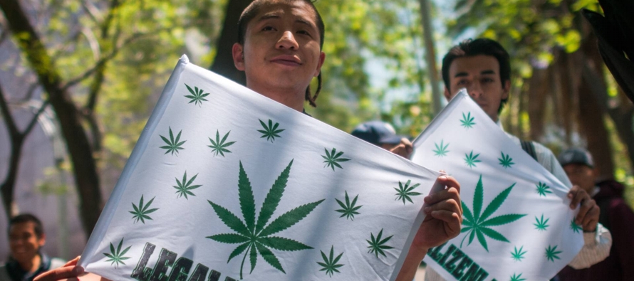 La Ley General para la Regulación y el Control del Cannabis nace como una respuesta a las...