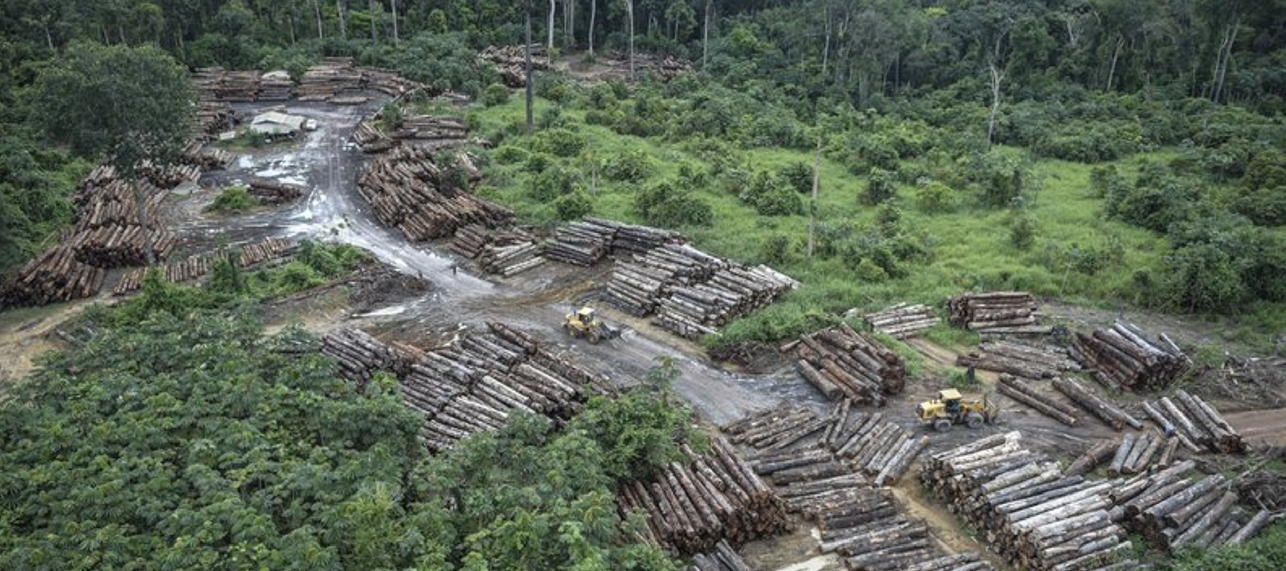 El país posee aproximadamente el 60% de la selva amazónica, y los científicos...