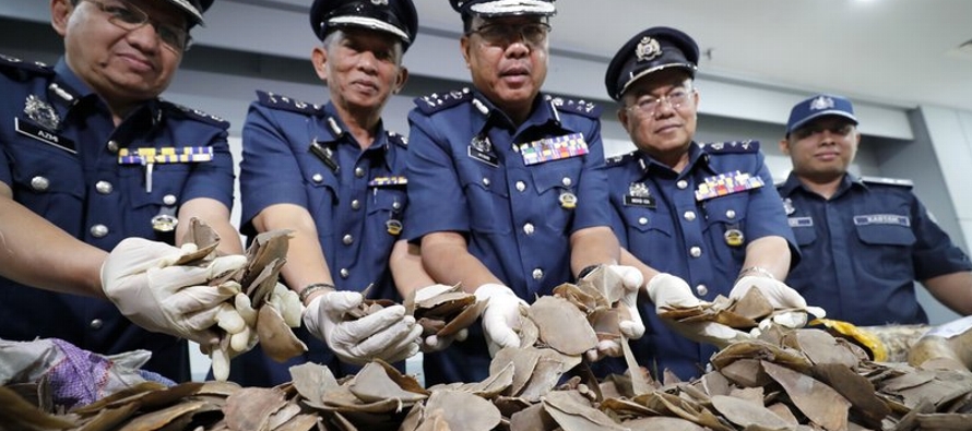 La policía de Sabah descubrió este mes dos importantes instalaciones de procesamiento...