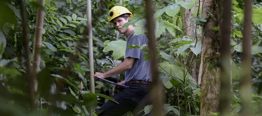 Investigadores en El Yunque, la única selva tropical supervisada por el Servicio Forestal de...