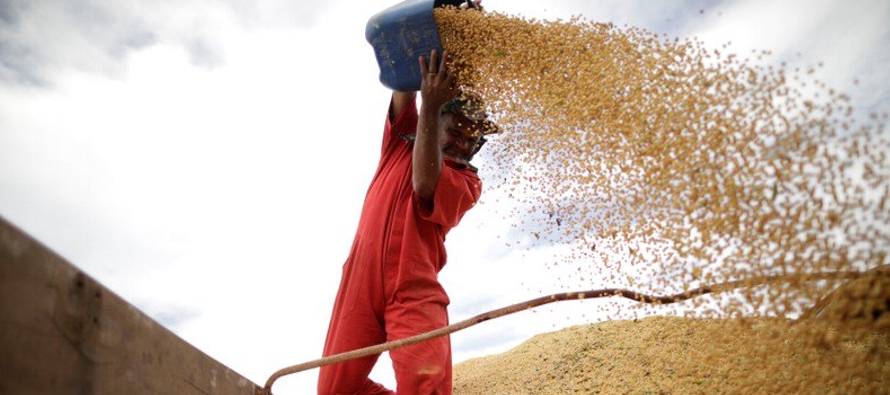 Los futuros del trigo se hundieron cerca de un 4 por ciento a nuevos mínimos de contrato por...