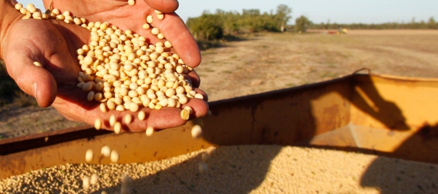 En el pasado, la mayor parte de la harina de soja argentina se ha exportado a destinos como Vietnam...