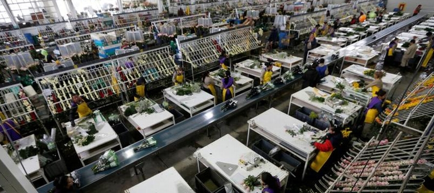 Las ventas externas de bienes y servicios colombianos bajaron un 7,8 por ciento interanual en...