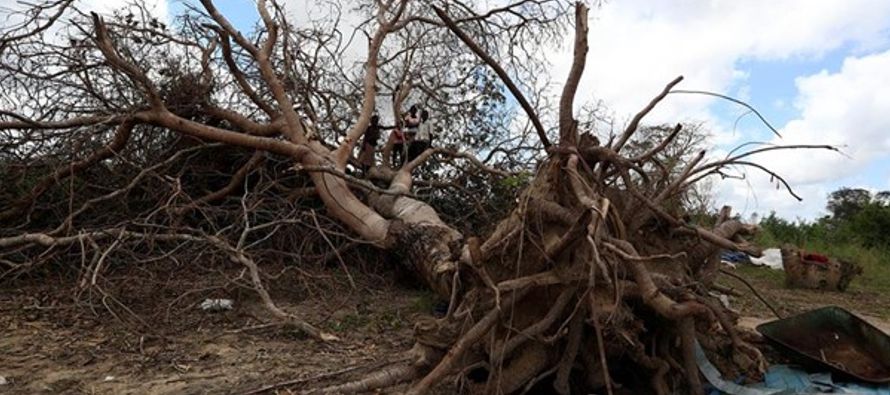 "En tiempos de inundaciones, los mozambiqueños buscan seguridad en los techos de los...