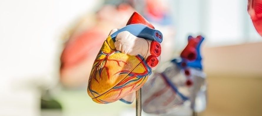 La insuficiencia cardiaca terminal se caracteriza por un deterioro funcional progresivo, tanto...