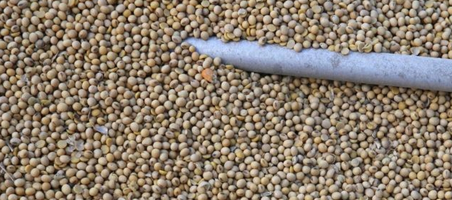 El USDA dijo que importadores chinos compraron 544,000 toneladas de soja estadounidense para su...