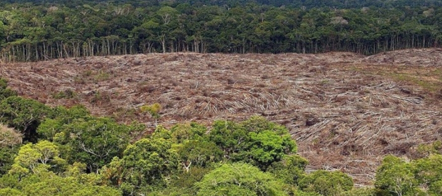 De acuerdo a datos de la agencia espacial brasileña, la deforestación en la mayor...