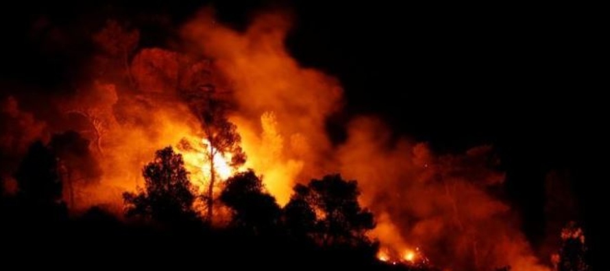 El reporte, publicado por WWF España, dijo que los incendios cuestan al continente un total...