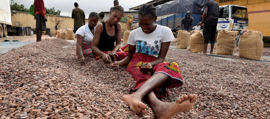 Costa de Marfil y Ghana, de cuyas costas sale navegando más del 60% del cacao consumido en...