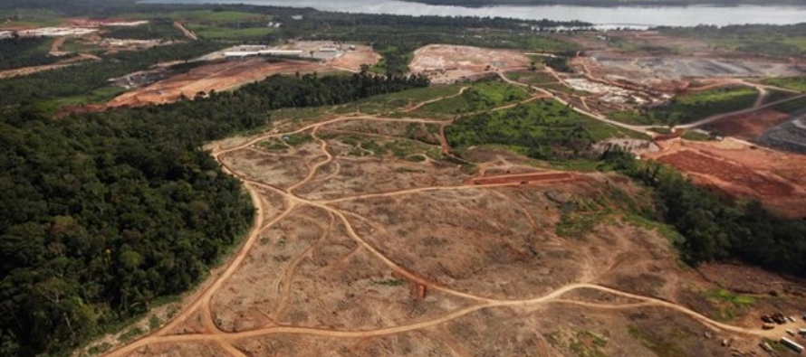 En 2018 el país brasileño fue el que más bosques tropicales perdió...