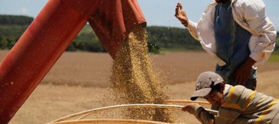 El informe OCDE FAO señaló que espera que la expansión en el comercio de soja...