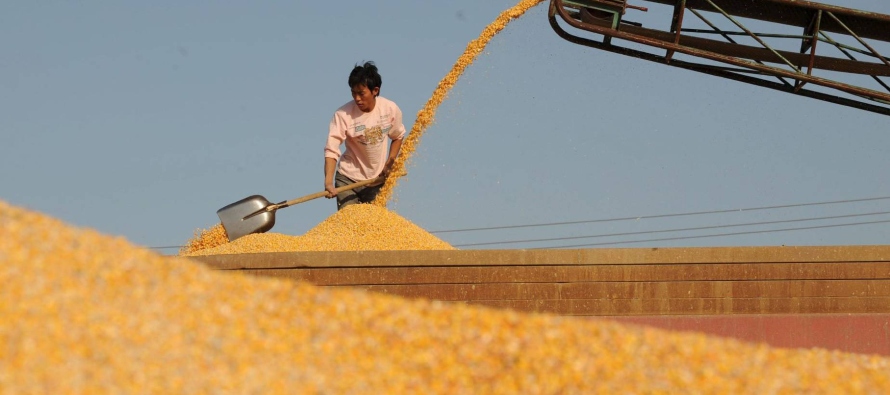 Los pequeños agricultores, que producen más del 80% de los alimentos del planeta, son...