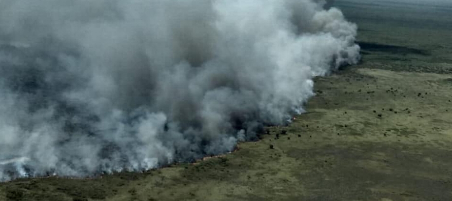 El fuego ya ha consumido 600 hectáreas (1,500 acres) de arbustos y otras plantas, dijo...