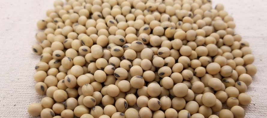 La demanda china de soja es muy alta, alcanza las 88 millones de toneladas al año....