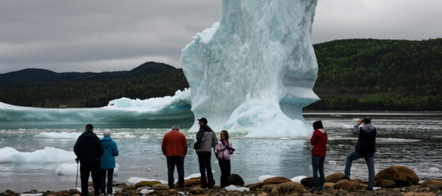 La abundancia de icebergs que se deslizan hacia el sur ha generado una nueva atracción...