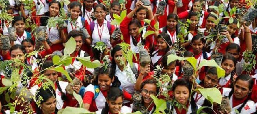 India hizo la promesa de mantener una tercera parte de su tierra cubierta de árboles, pero...