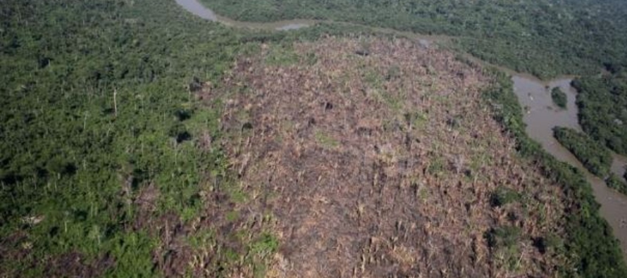 Sarney dijo que Bolsonaro ha desmoralizado deliberadamente a las agencias ambientales y ha dado a...