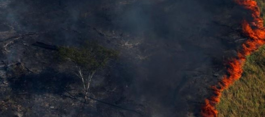 La agencia espacial INPE dijo que la gran cantidad de incendios forestales no se puede atribuir a...