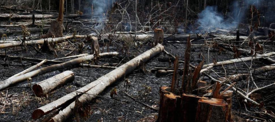 Los incendios en la mayor selva del mundo han trascendido de la esfera meramente brasileña:...