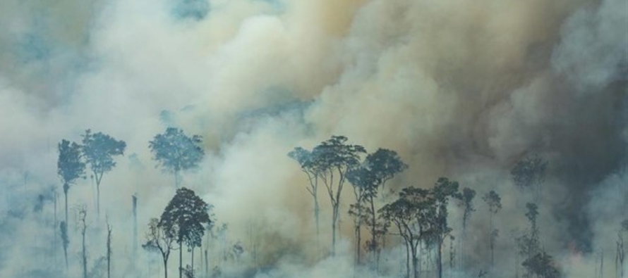 Los incendios forestales se han incrementado un 82 por ciento desde 2018 según datos del...