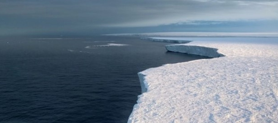 El dióxido de carbono se absorbe en la superficie del océano y se almacena en las...