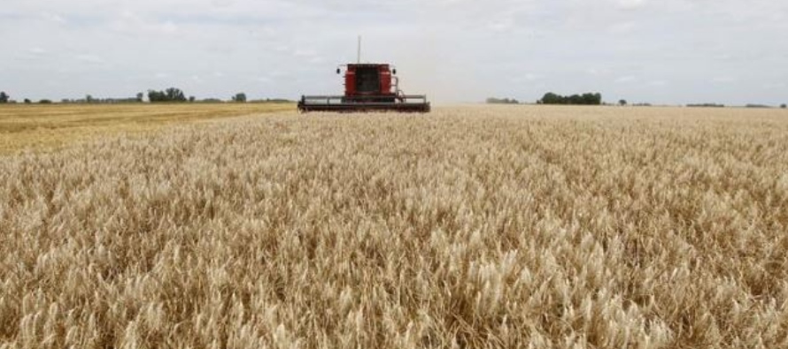 En la campaña anterior, la cosecha del cereal totalizó 19,46 millones de toneladas.