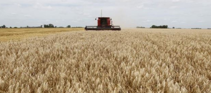 Argentina es un exportador mundial líder del cereal y, de acuerdo con la BCBA, la cosecha...