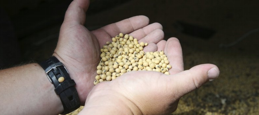 China suspenderá los aumentos arancelarios en la soya, el cerdo y otros productos...