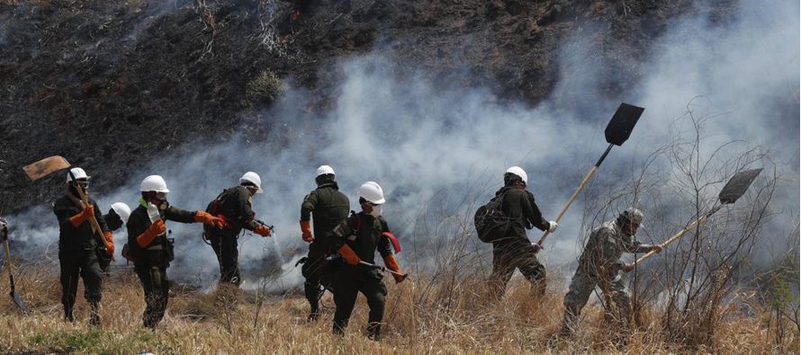 Los incendios forestales en Bolivia, que arden desde hace más de un mes, ya han consumido...