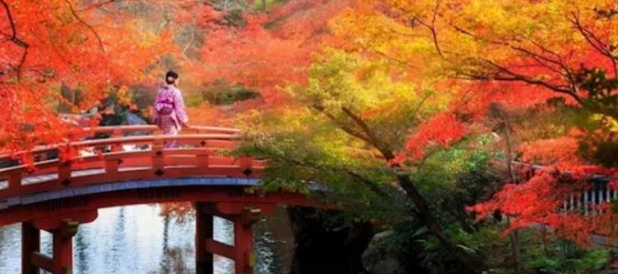  El templo Kiyomizu-dera, en lo alto de una pequeña montaña situada al este de Kioto,...