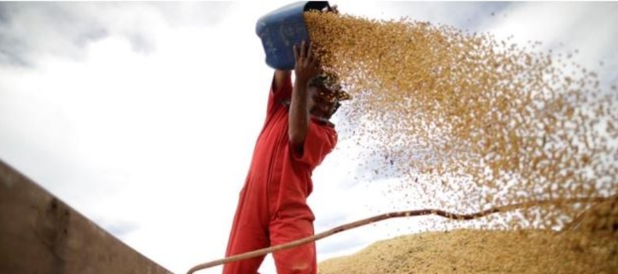 De enero a octubre, Brasil envió 33,4 millones de toneladas de maíz al exterior,...