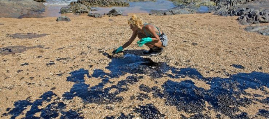 Las manchas de petróleo comenzaron a aparecer en Paraíba (noreste) hace más de...