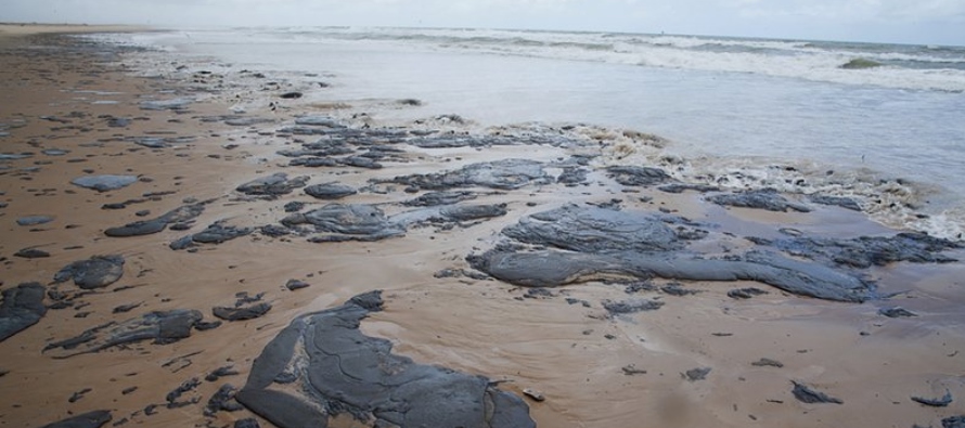 Unas 4,000 toneladas de crudo han sido recogidas de las playas brasileñas hasta ahora,...