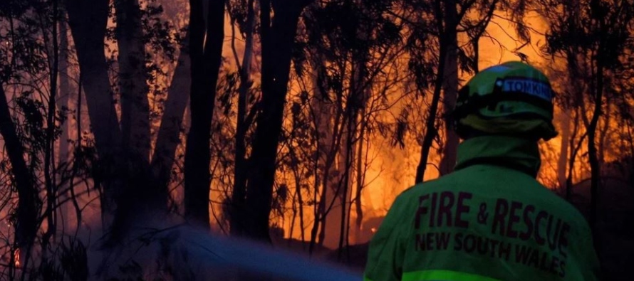 En total, un centenar de incendios estaban en curso en las zonas rurales de los estados de Nueva...