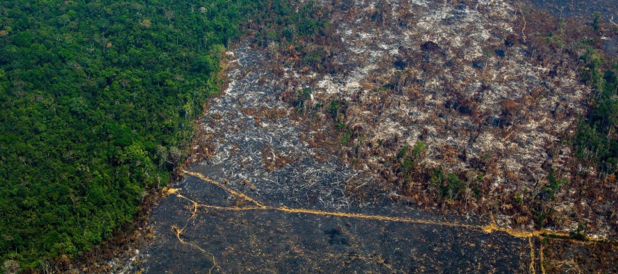 La deforestación en la Amazonia brasileña viene aumentando desde 2012 aunque a un...