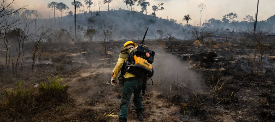 El 23 de agosto de 2010 hubo 148.946 incendios en la región amazónica. Aquel verano...
